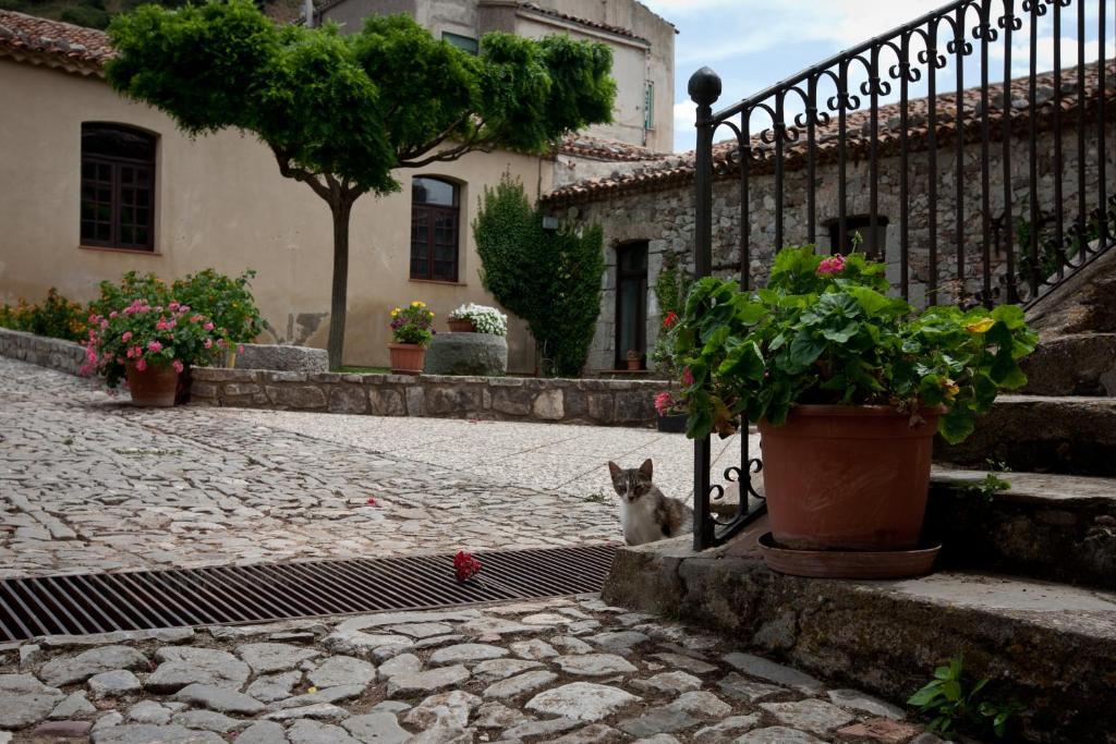 Il Vecchio Frantoio Villa Scillato  Luaran gambar