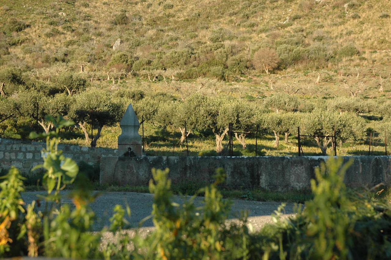 Il Vecchio Frantoio Villa Scillato  Luaran gambar